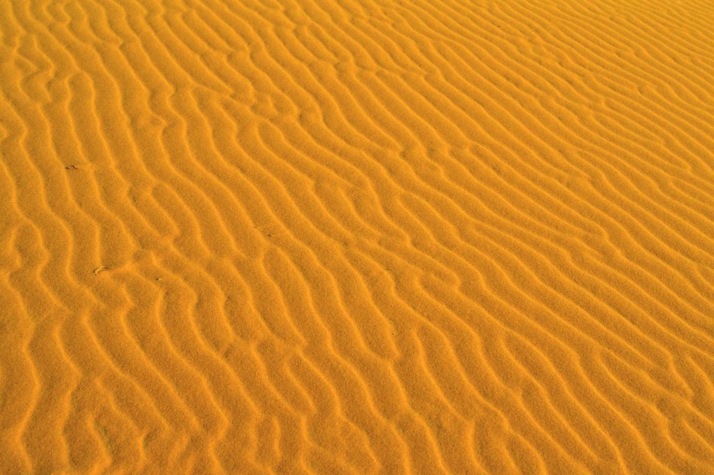 A close-up view of textured sand dunes with flowing ripple patterns in golden sunlight.