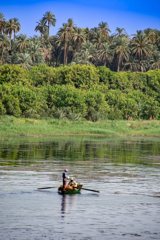 Two people rowing a boat on the Nile River, surrounded by lush greenery and palm trees in Egypt.