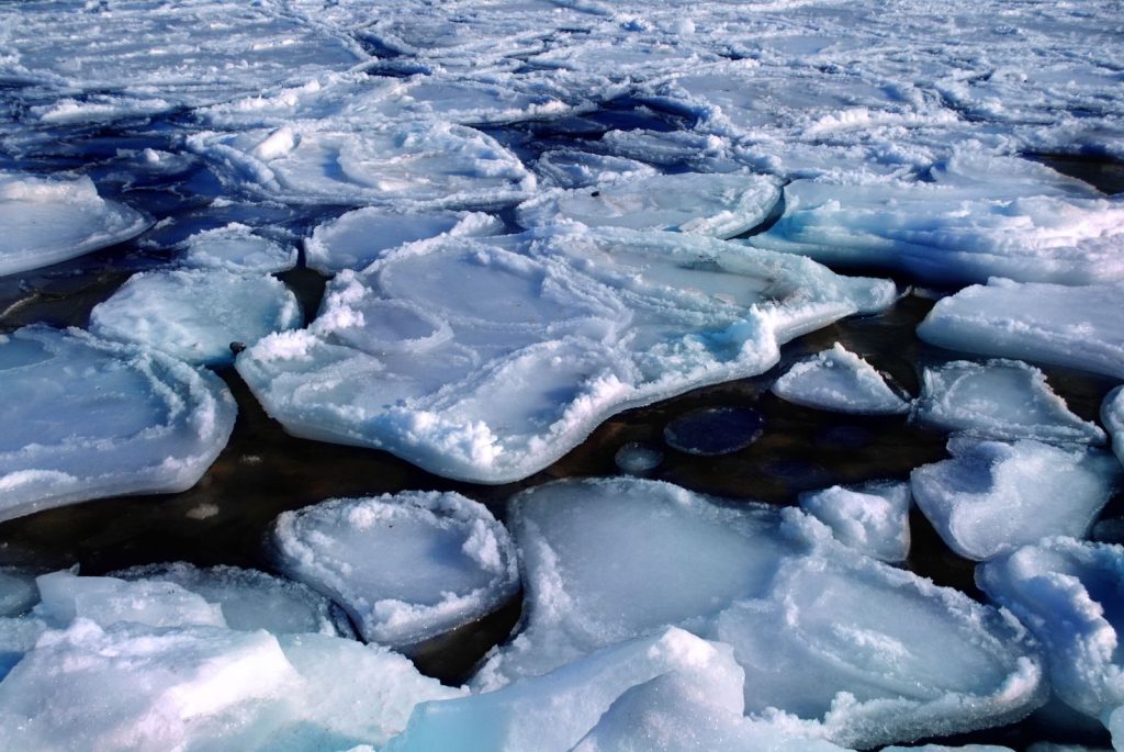 Close-up view of melting ice floes floating in the Arctic sea creating a serene abstract pattern.