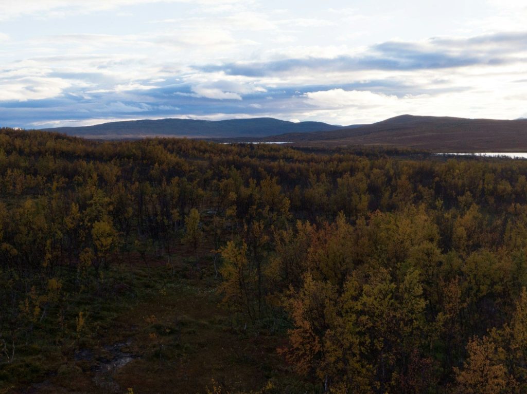 a landscape with trees and hills in the background