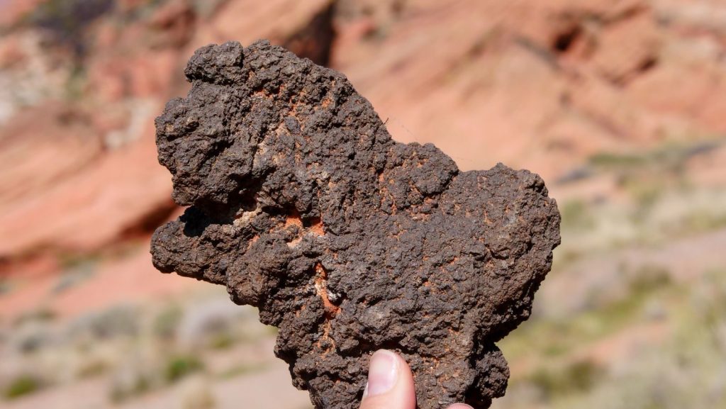 Unique textured rock held against a blurred rocky background.