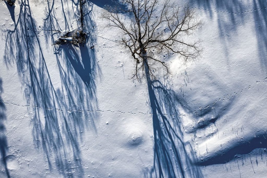 Aerial view of a snow-covered landscape with tree shadows in Pickwick, MN during winter.