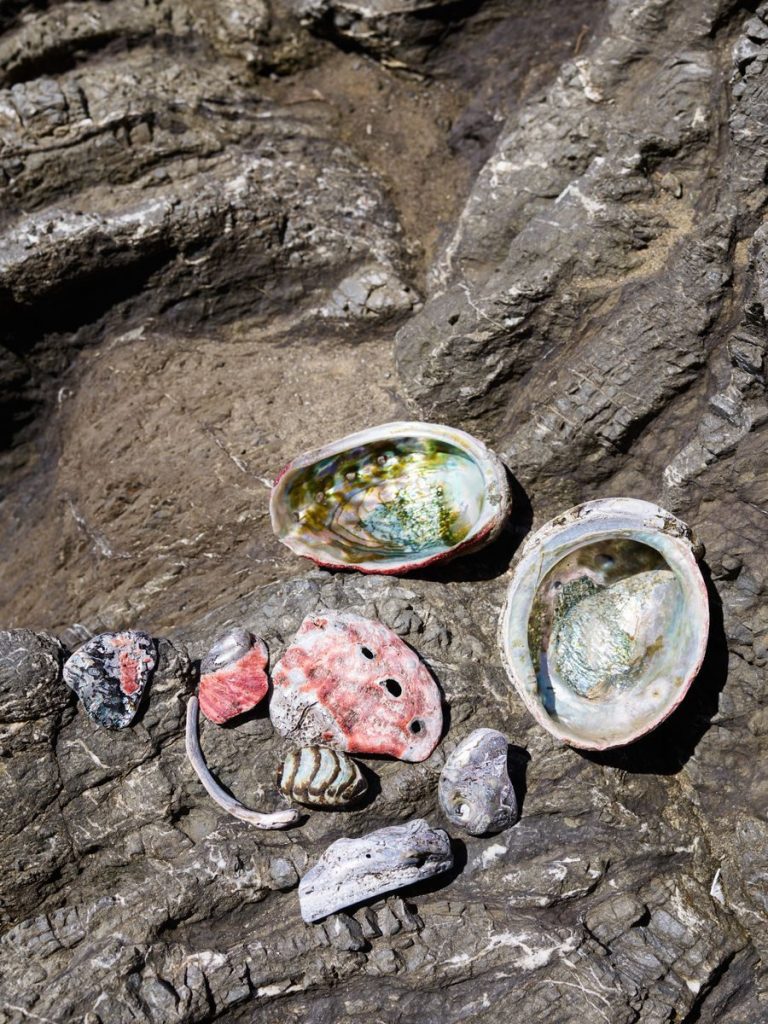 Close-up of colorful seashells placed on rugged rock, showcasing natural beauty.