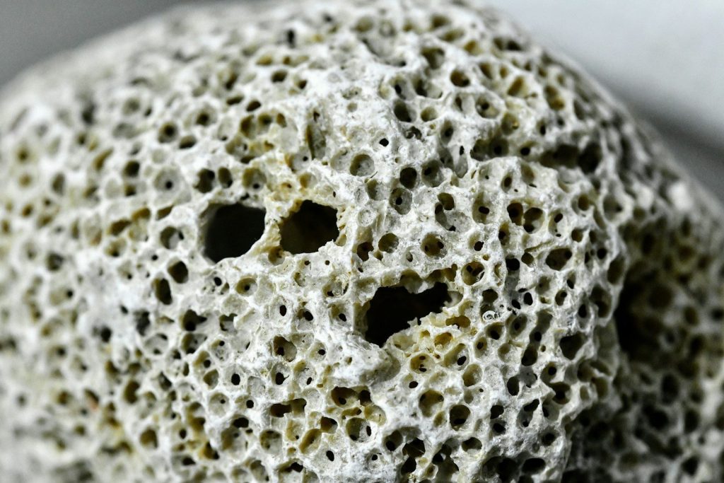 a close up of a rock with holes in it