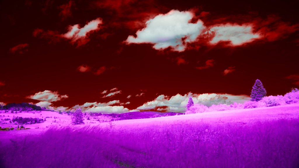 A surreal landscape with a red sky and purple field.