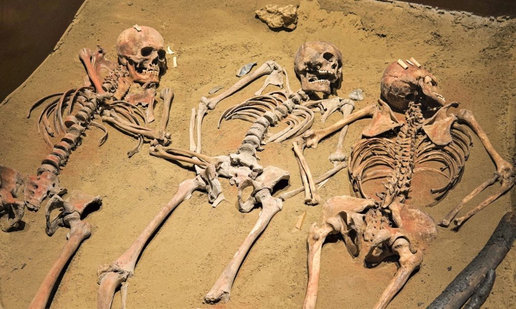 a group of skeletons sitting on top of a sandy ground