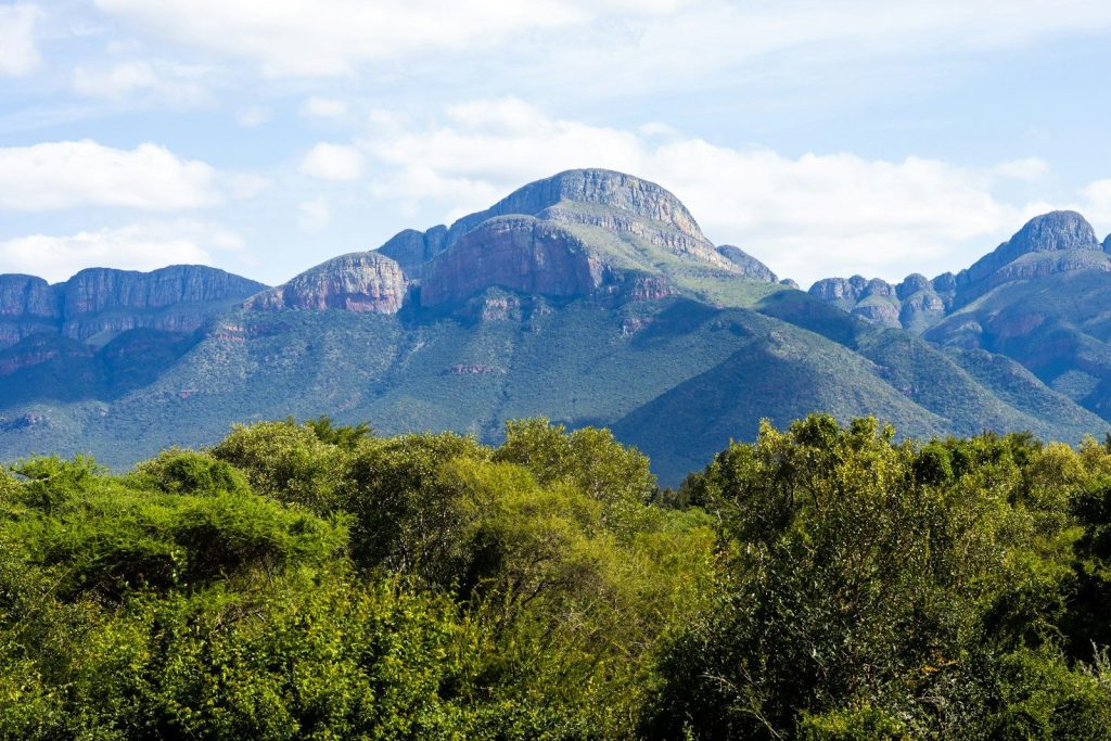 a mountain range with trees and bushes in the foreground