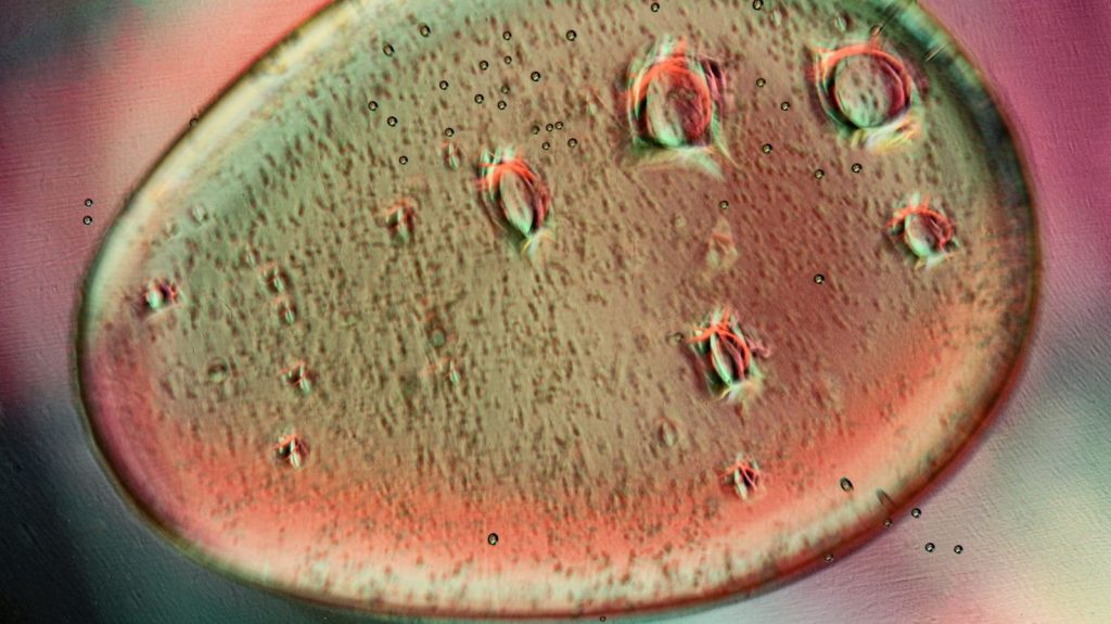 Close-up of a colorful, textured liquid droplet.