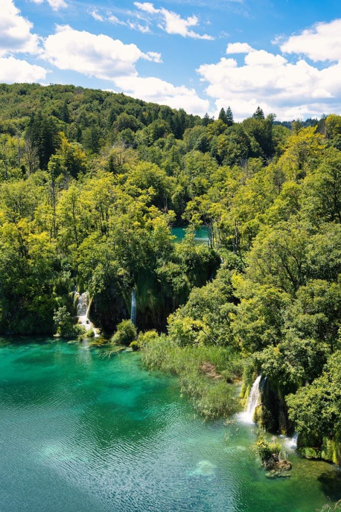 Lush green forest surrounds turquoise water with waterfalls.