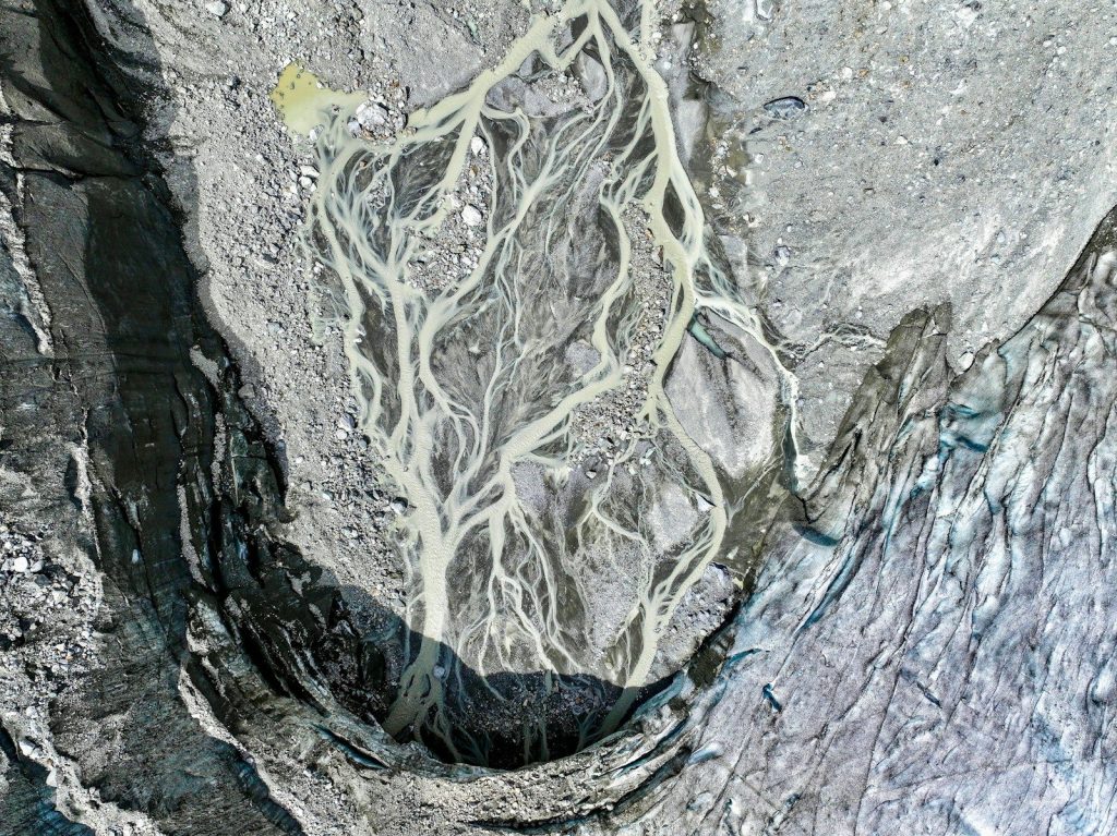 A picture of a rock with a tree on it